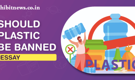 should plastic be banned plastic should be banned plastic ban ban plastic harmful plastic