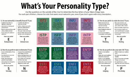 personality test, how to make a good personality, test of personality, what is your personality type, what is your personality